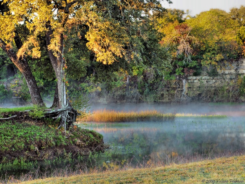 Brushy Creek Revisited