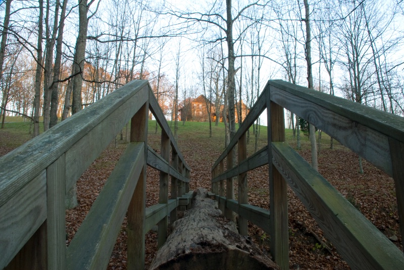 Tree Bridge & Log Home