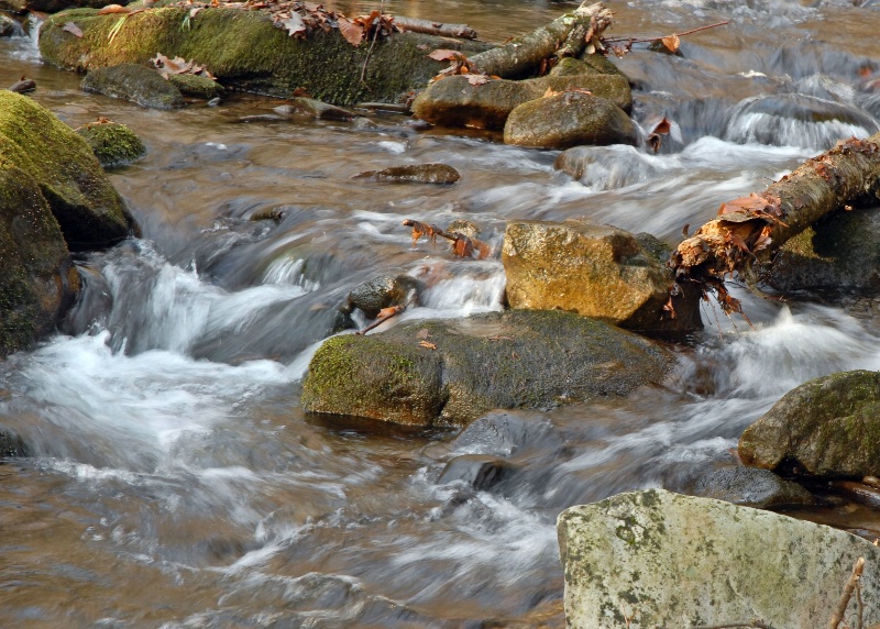 The Babbling Brook