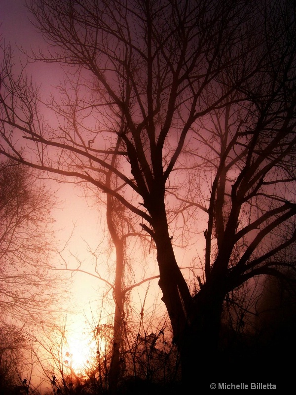 Enchanted Fog Sunrise