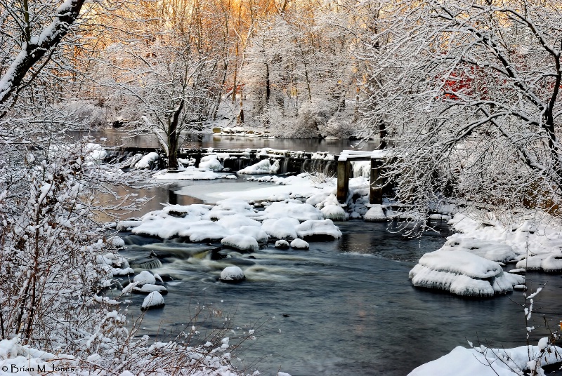 Snow Morning