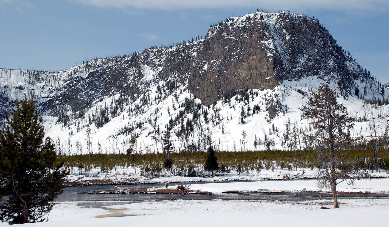 Yellowstone