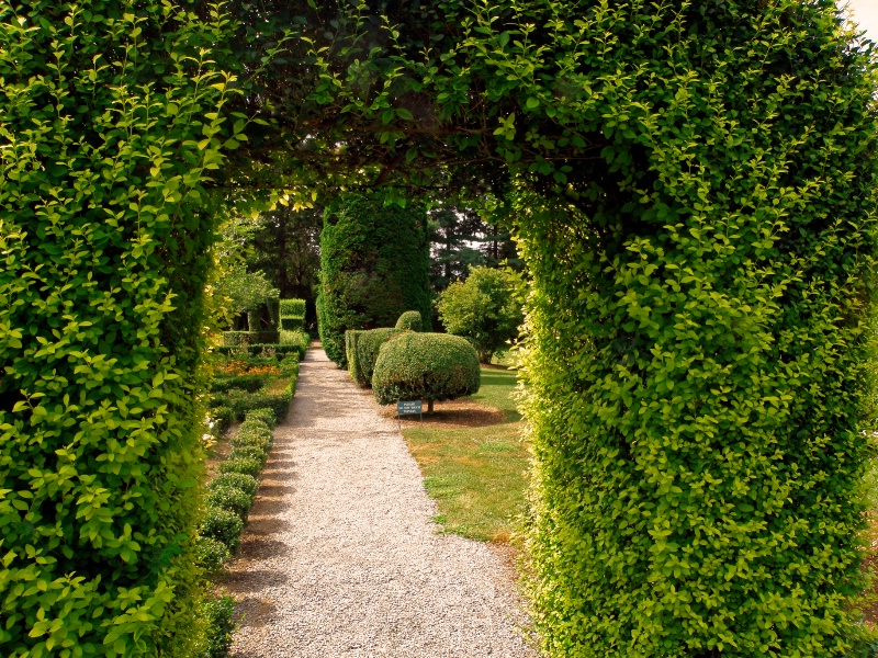 The Garden Path