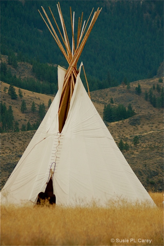 American Indian TeePee - ID: 9381959 © Susie P. Carey