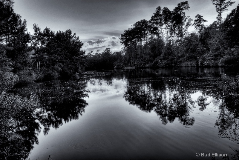 Late Afternoon Reflections