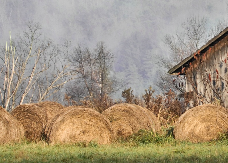 Round Hay Bales