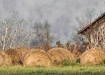 Round Hay Bales