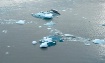 Ice Colors