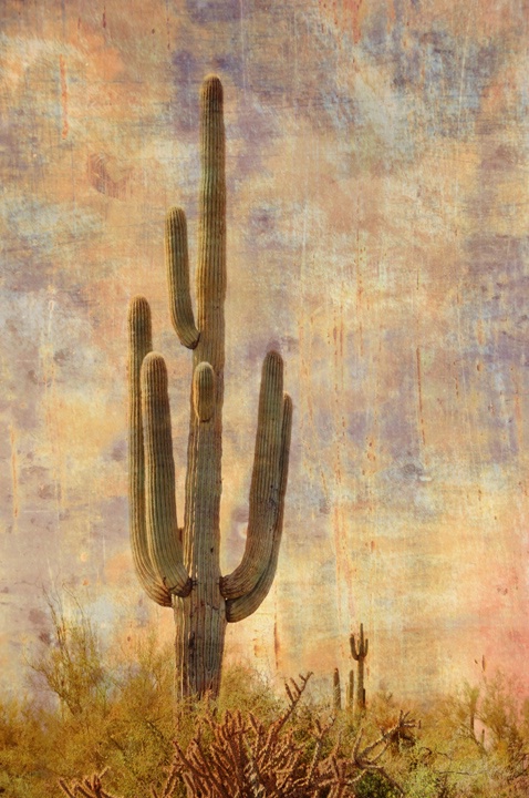 Saguaro - ID: 9393118 © Sherry Karr Adkins