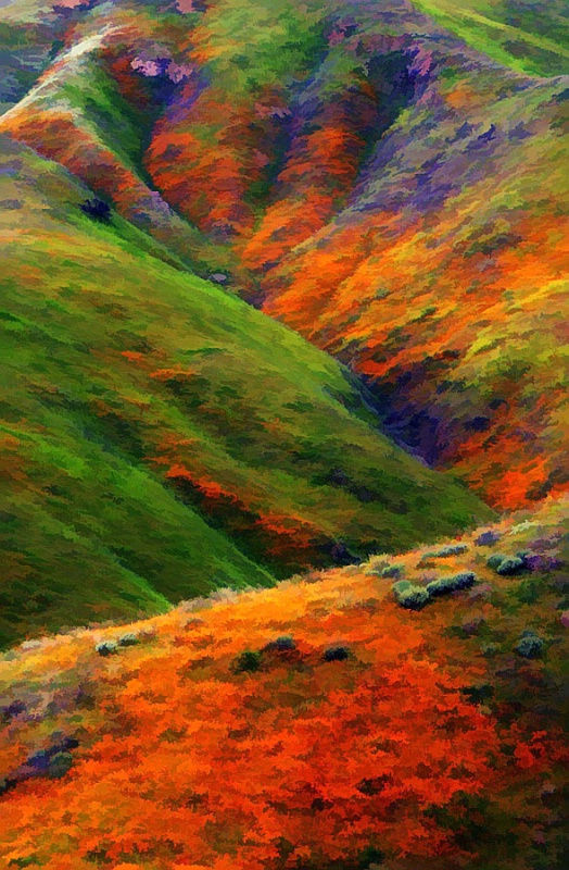 The Hills are Alive!  with color! 