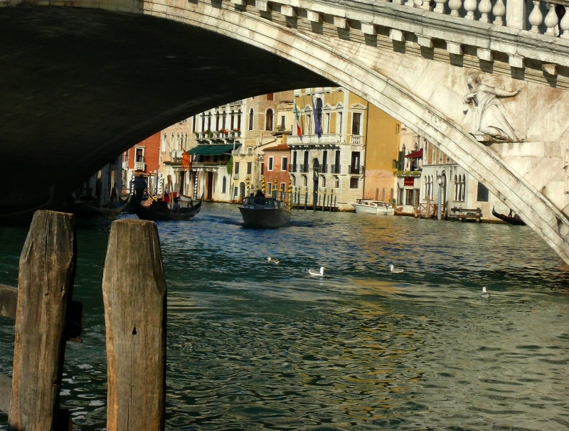 Venice Rialto Bridge P1180508
