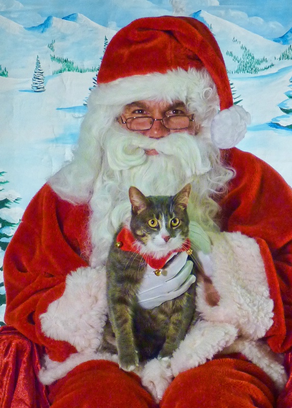 Santa and the Kitty