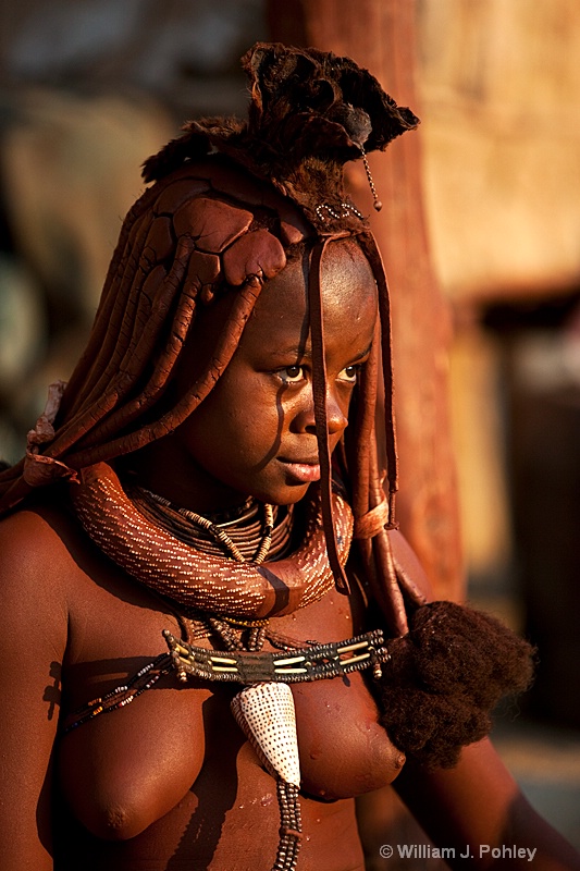 Himba woman (9407) - ID: 9403254 © William J. Pohley