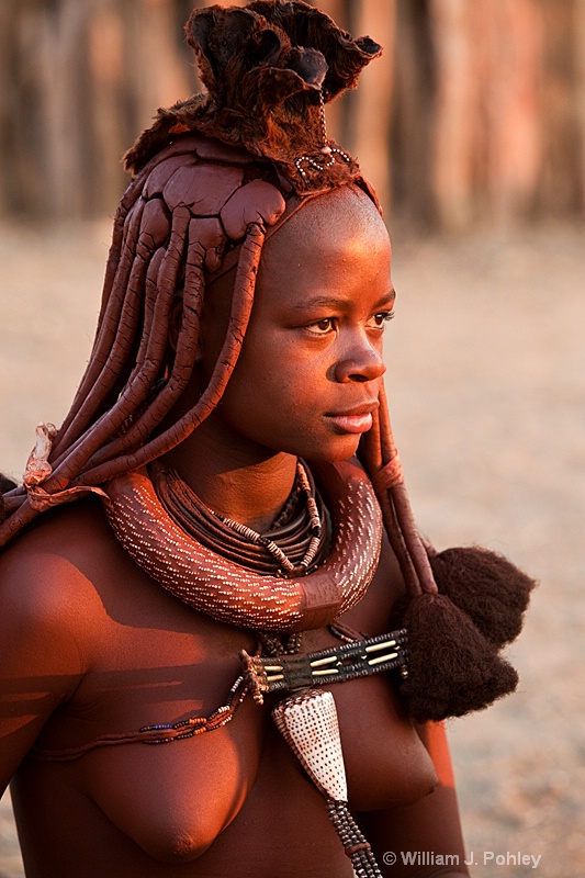 Himba woman (9519) - ID: 9403289 © William J. Pohley
