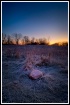 Frosted Prairie r...