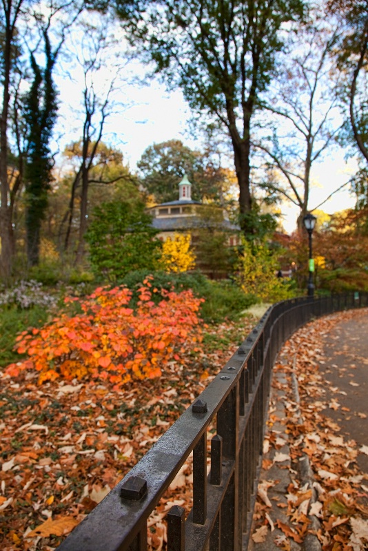 Fall in Central Park - Architectural Detail