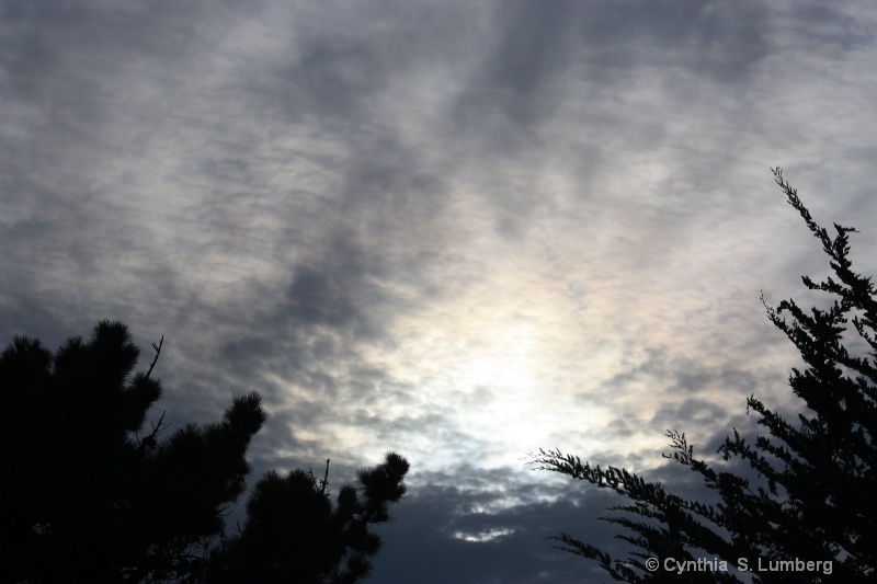 Winter Sky. . . - ID: 9419249 © Cynthia S. Lumberg