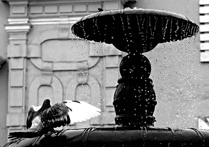 A bath in the city