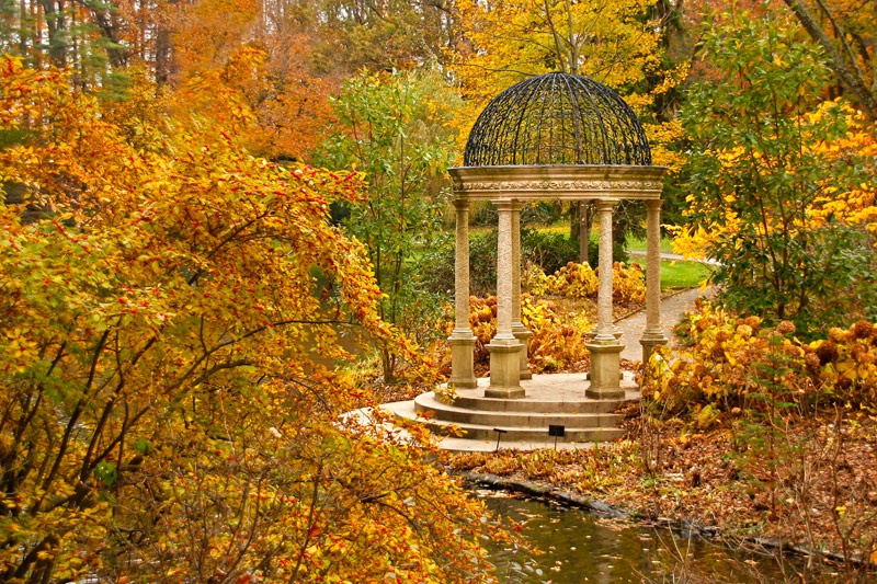 Autumn Gazebo