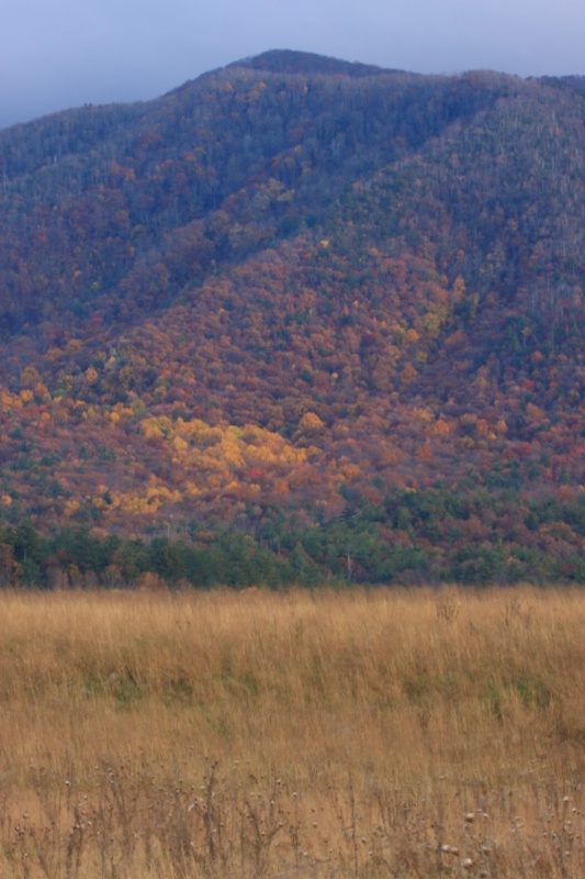 Fall's Colors, GSMNP, 10.30.09