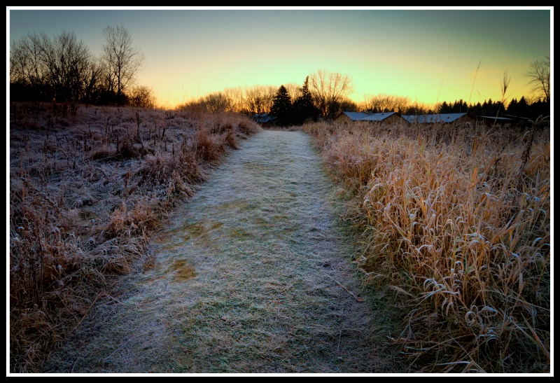 Prairie trail on frosty morning