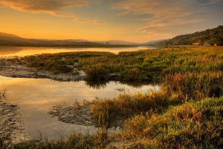 Marsh Colors