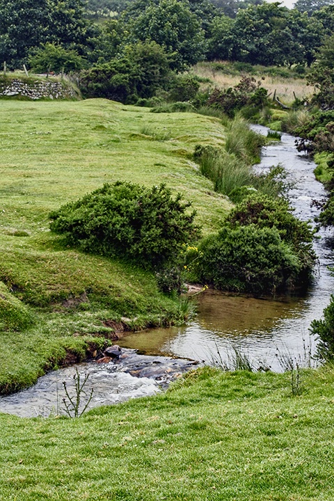 Placid moorland stream