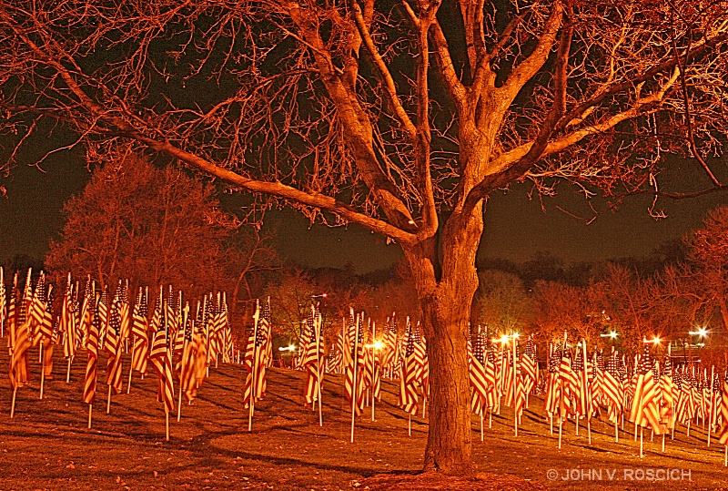  Stand Proudly - ID: 9442442 © John V. Roscich