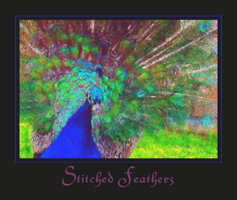 Stitched Feathers