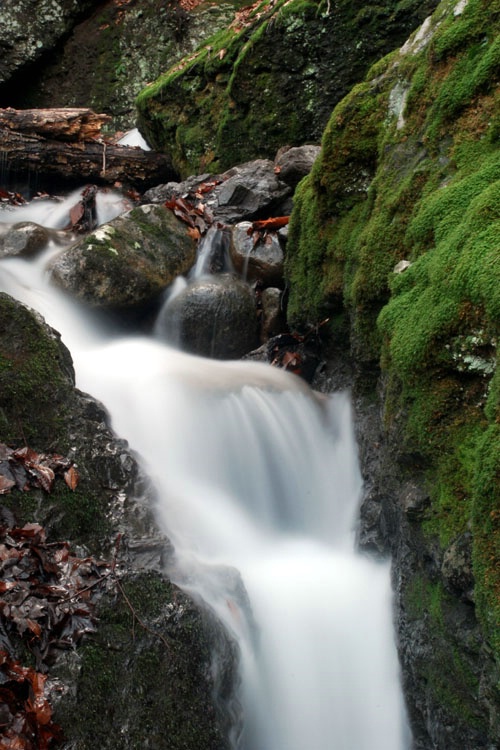 "Roaring Falls" 