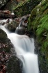"Roaring Fall...