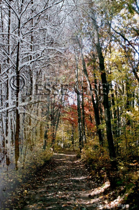 Fall-Winter Trail 