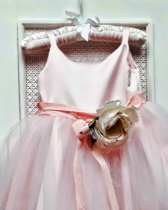 Little Pink Dress - ID: 9458878 © Carol Eade