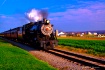 Choo Choo