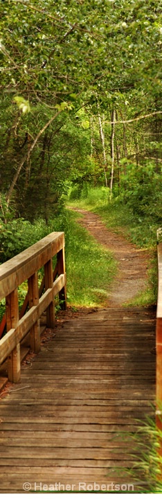 Bridge Path - ID: 9466023 © Heather Robertson