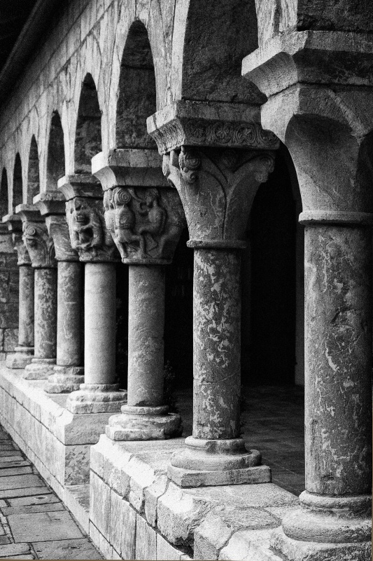 Cloister Columns