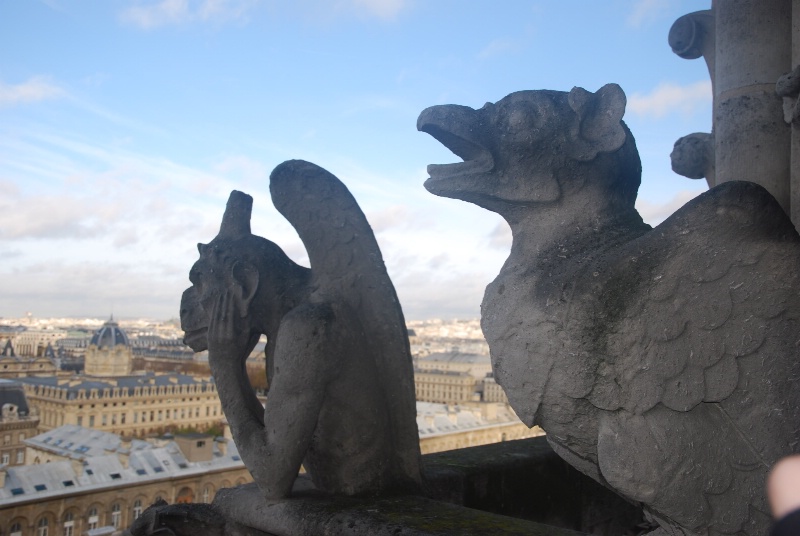 Gargoyle 9 - Notre Dame Rooftop