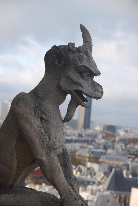 Gargoyle 6 - Notre Dame Rooftop