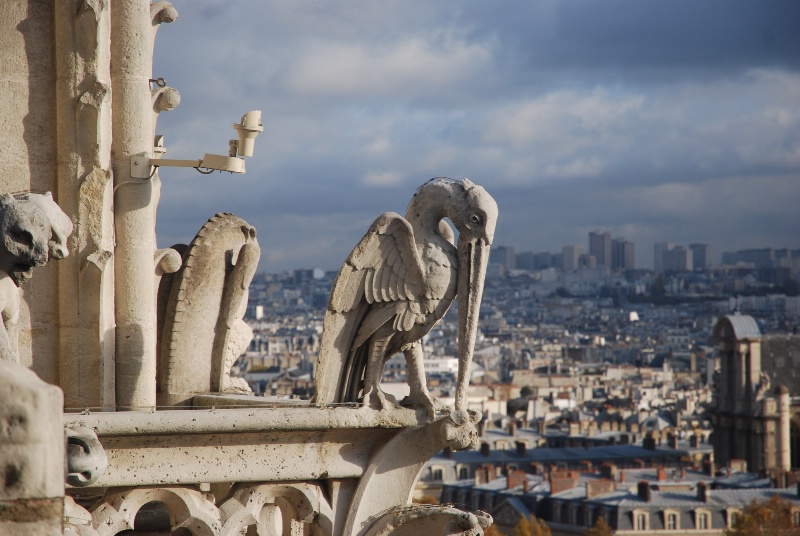 Gargoyle 5 - Notre Dame Rooftop