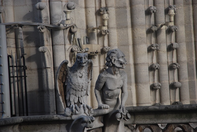 Gargoyle 4 - Notre Dame Rooftop