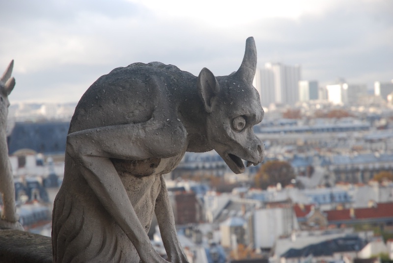 Gargoyle 2 - Notre Dame Rooftop