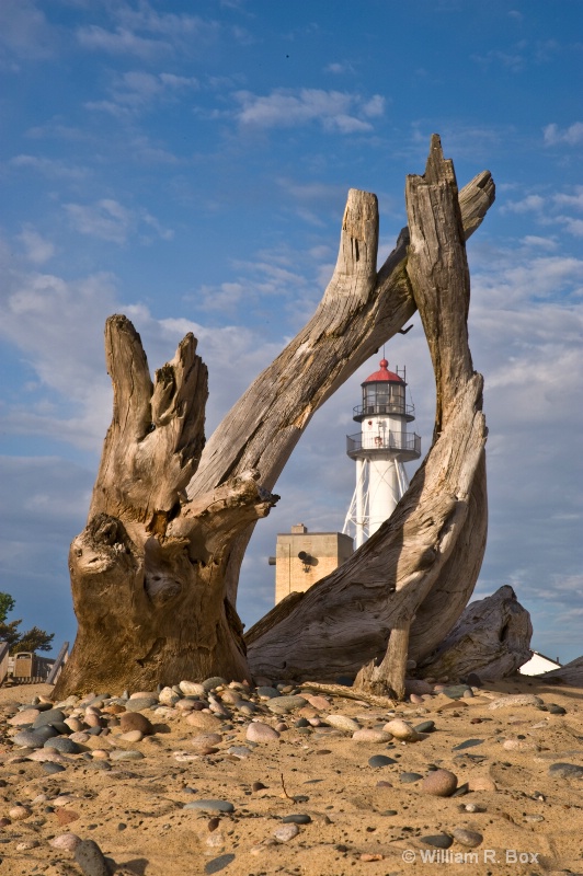 Driftwood and Whitefish Bay Lighthouse