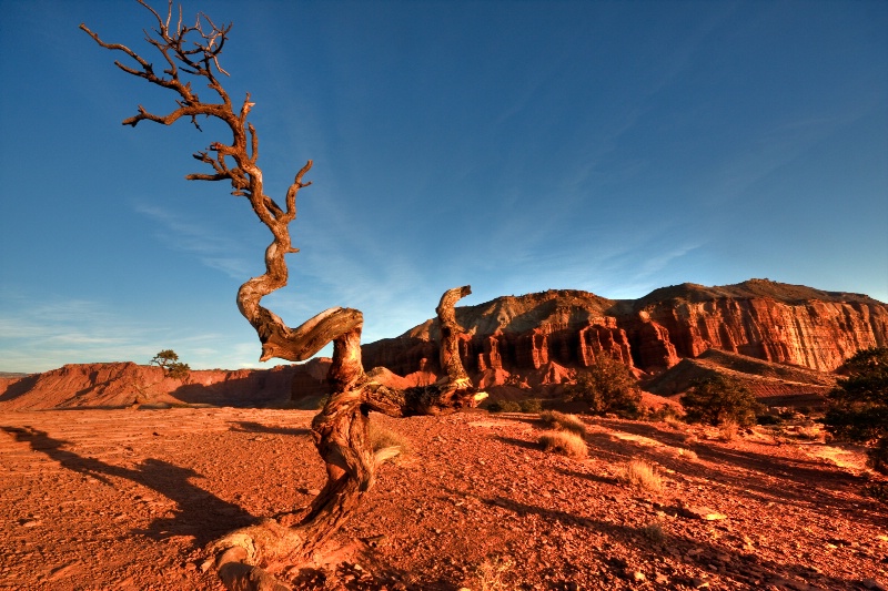 sunrise at Capitol Reef National Park