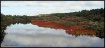 Reflections of th...