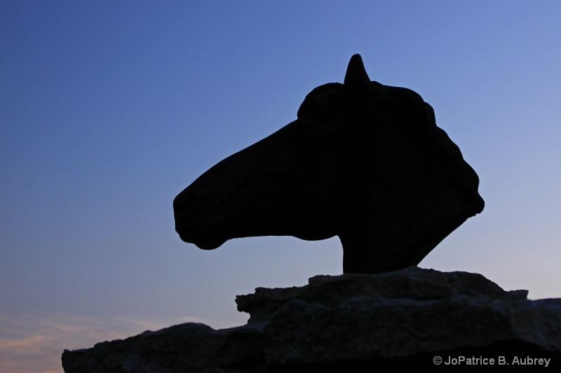 Horse Sentinel