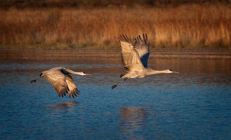 In Flight