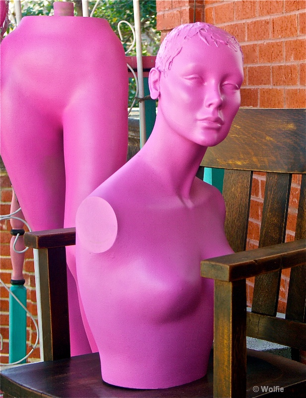 img7