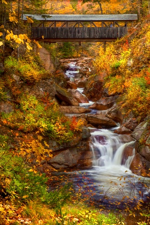 Mountain Stream