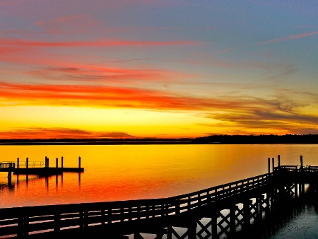 Lowcountry Autumn/CNPA Contest Winner