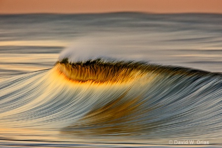 Approaching The Shore